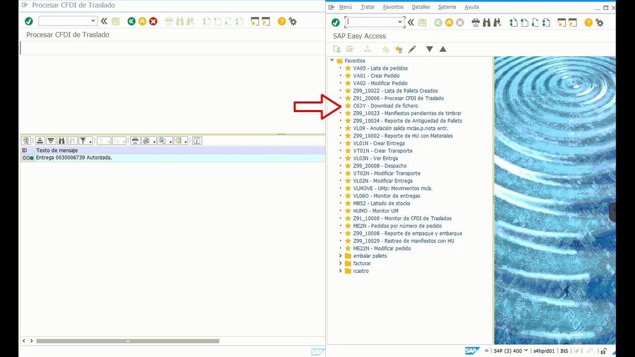 SD-Factura de Traslado (Exportacion)