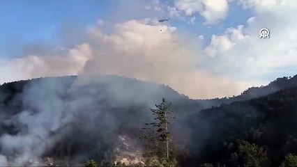 Bolu'da orman yangını çıktı