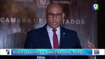 Diputado peledeista busca creación de banco de piel tras tragedia| Primera Emisión SIN