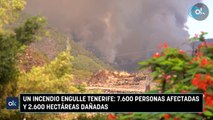 Un incendio engulle Tenerife: 7.600 personas fuera de sus casas y 2.600 hectáreas afectadas