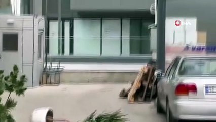 Impact des vents violents à Ankara : toits soufflés, arbres renversés