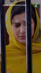 Mei Beqasoor Hun! 🎬 Join FLO Digital for Pakistani Dramas