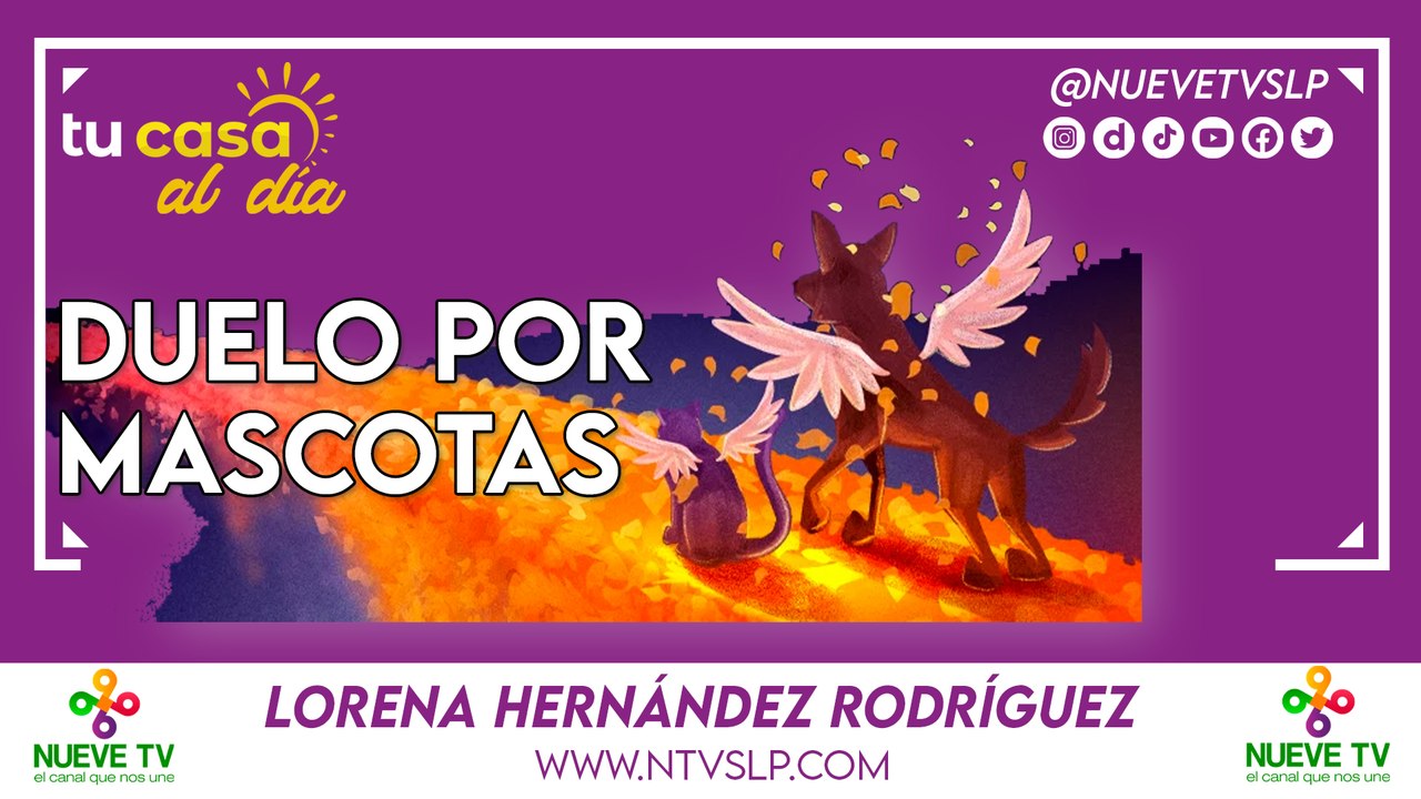 Duelo por mascotas