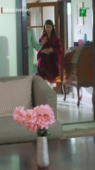 She Is Pregnant !  #kinzahashmi #shorts #viral