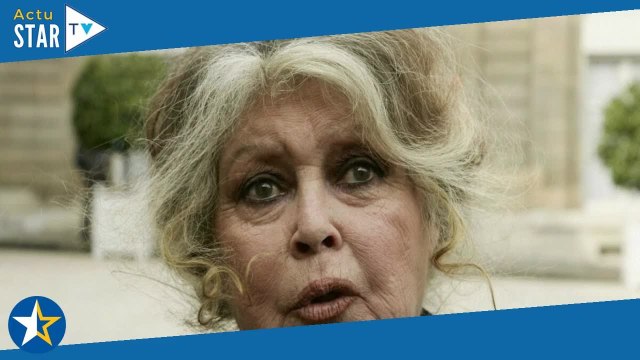 Ma liberté m'a parfois coûté cher Brigitte Bardot révèle qu'elle n'a jamais voulu incarner le m