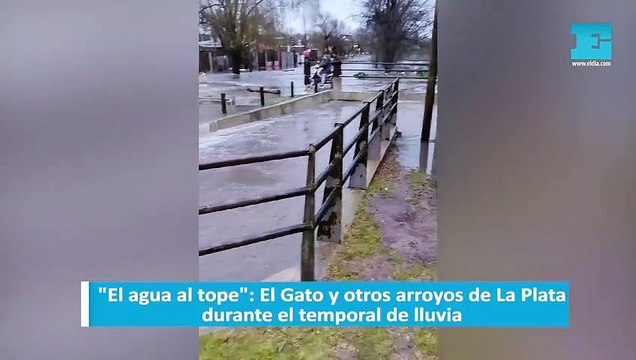 El agua al tope : El Gato y otros arroyos de La Plata durante el temporal de lluvia