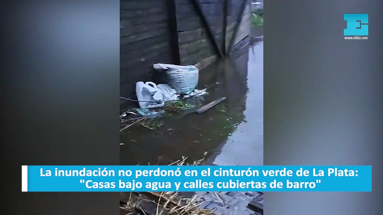 La inundación no perdonó en el cinturón verde de La Plata: "Casas bajo agua y calles cubiertas de barro"