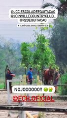 Cavalo é agredido com socos, pá e madeira em clube country de Joinville