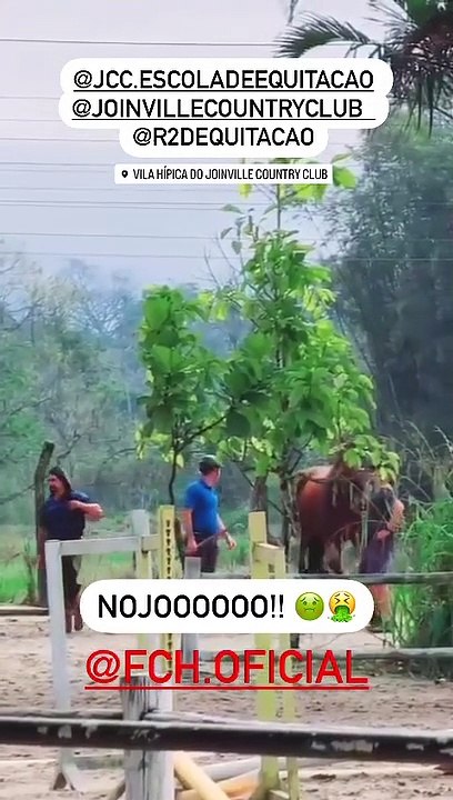 Cavalo é agredido com socos, pá e madeira em clube country de Joinville