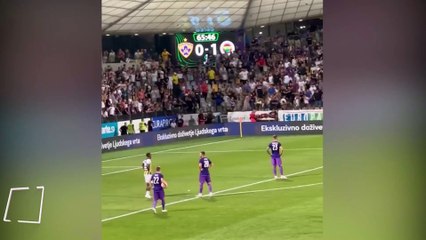 Fenerbahçe'nin Maribor'a konuk olduğu maç çıkan kavga nedeniyle durdu