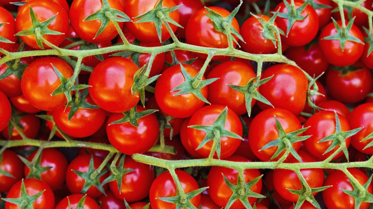 Is A Tomato A Fruit Or A Vegetable?