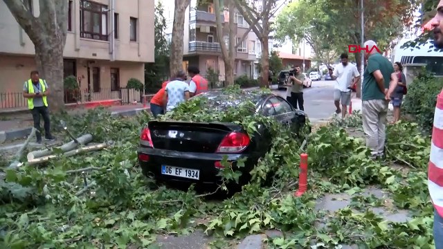 vent fort à Ankara; des arbres sont tombés, des toits ont volé