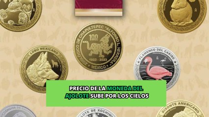 Precio de la moneda del ajolote sube por los cielos