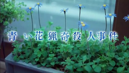 蝶の力学 殺人分析班 | 2019 Official Trailer 🦋