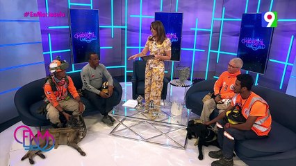 Los caninos Bruno y Max parte de los héroes de tragedia en San Cristóbal | Esta Noche Mariasela