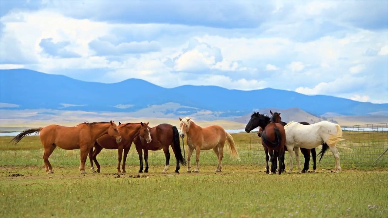 Another World 4K HDR 60FPS Dolby Vision - Dolby Atmos