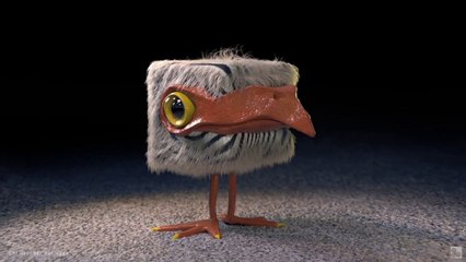 Karma Xpu - Highlights