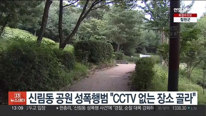 신림동 공원 성폭행범 "CCTV 없는 장소 골라"