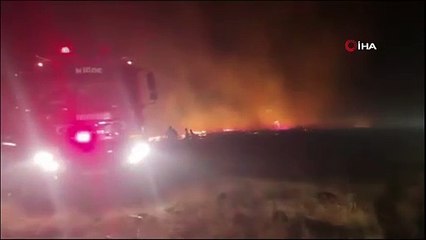 Niğde’de çıkan yangında 500 hektar mera alanı zarar gördü