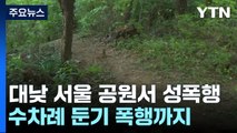 공원 성폭행범 