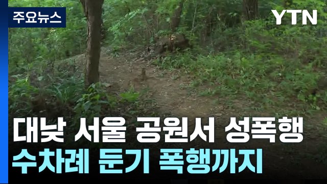 공원 성폭행범 CCTV 없는 곳 골라 범행 ...성폭행 시인 / YTN