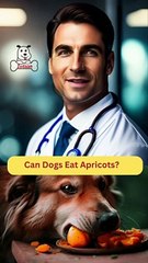 Descargar video: Can Dogs Eat Apricots | Dog Food Review | Zudaan