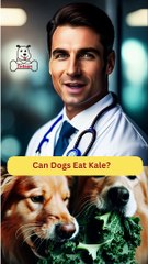 Can Dogs Eat Kale | Dog Food Review | Zudaan