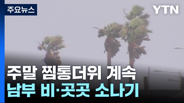 [날씨] 주말 찜통더위 계속...곳곳 소나기, 동해안 너울 유의 / YTN