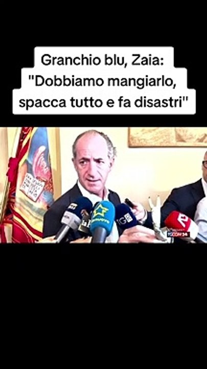Luca Zaia, crociata contro il granchio blu: "Spacca tutto e fa disastri"
