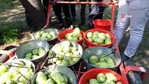 Bursa Büyükşehir Belediye Başkanı Alinur Aktaş, Gürsu'da Çiftçileri Ziyaret Etti