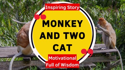 Inspiring Story About Monkey and Two Cat