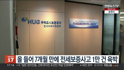 올들어 7개월 만에 전세보증사고 1만 건 육박