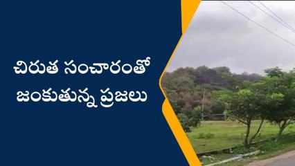 నిర్మల్: చిరుత సంచారంతో జంకుతున్న ప్రజలు