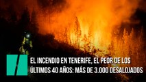 El incendio en Tenerife, el peor de los últimos 40 años: más de 3.000 desalojados