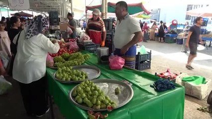 'Aydın inciri' Muğla'da pazar tezgahlarını süslüyor