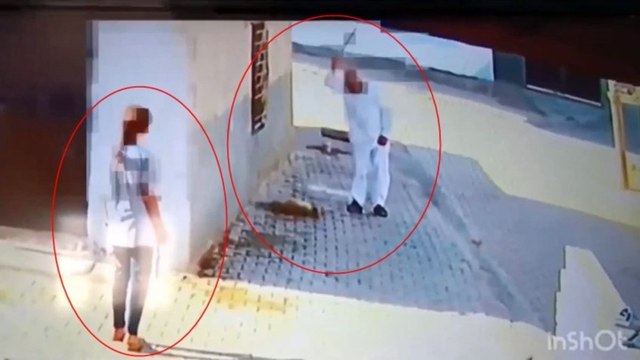 Yavru köpeği demir çubukla döve döve öldürdü