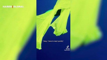 Köpek balığının dalgıca saldırı anı kamerada