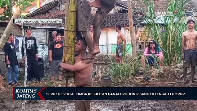 Seru ! peserta Lomba Kesulitan Panjat Pohon Pisang Di Tengah Lumpur
