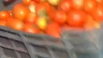 लखनऊ: शहर में 50 रूपये प्रति किला बिका टमाटर, जानिए इतना सस्ता कैसे हुआ