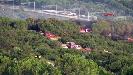 Incendie dans la forêt de TÜBİTAK à Gebze maîtrisé