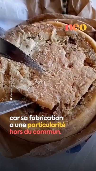 Le Casgiu merzu, un fromage à base d'asticots