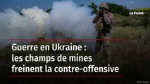 Guerre en Ukraine : les champs de mines freinent la contre-offensive