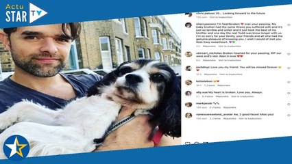 Chris Peluso  le comédien, vu notamment dans Mamma Mia, est mort à l'âge de 40 ans