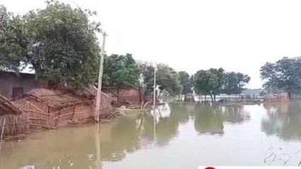 हरदोई: कटियारी क्षेत्र में बाढ़ से दो दर्जन से अधिक गांव बने टापू