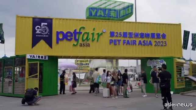 Cani clonati e robot di compagnia, la fiera degli animali a Shanghai