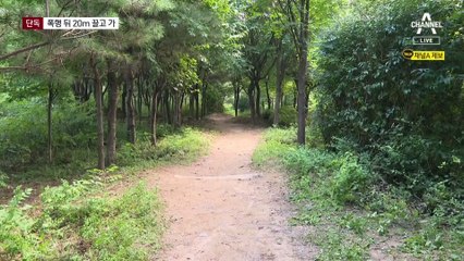 [단독]산책로서 가격 뒤 숲으로 20m 끌고 갔다