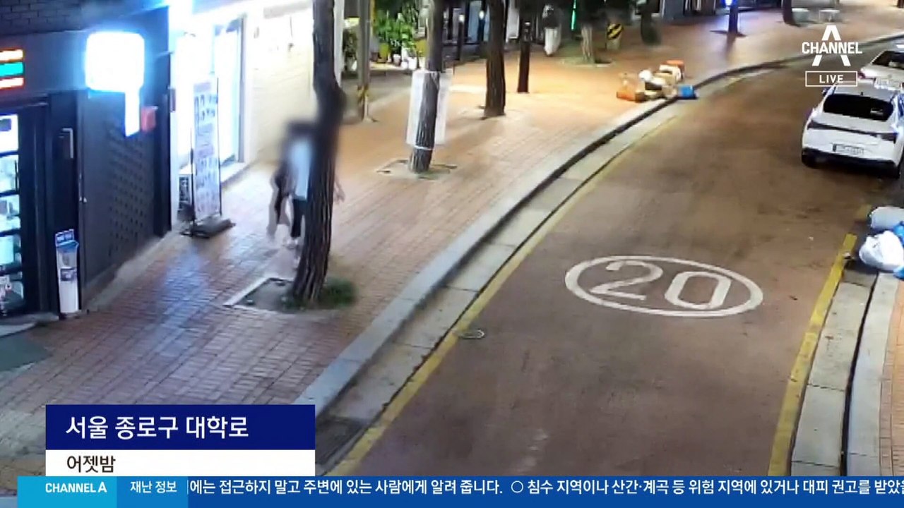 “시끄러워서” 60대 남성, 흉기 들고 대학로 활보
