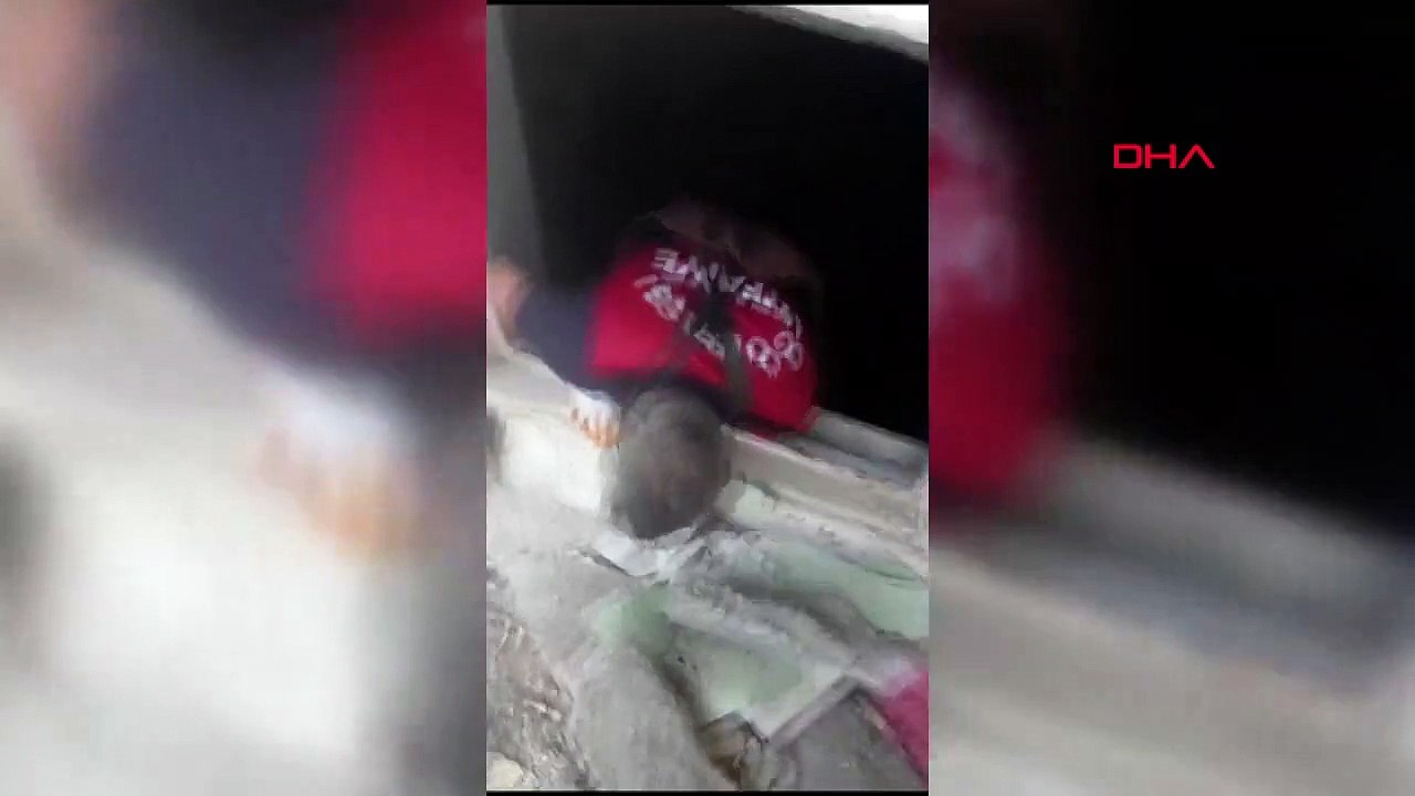 Un chaton coincé dans un tremblement de terre sauvé par les pompiers