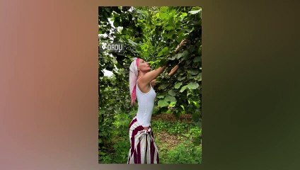 ＂Ask＂ quelles sont les paroles？ Edis- Gülşen ＂Ask＂ paroles!