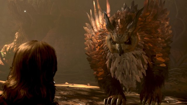 Baldur's Gate 3: Wie findet ihr die Eulenbärhöhle und überlebt das Treffen mit der Mutter?